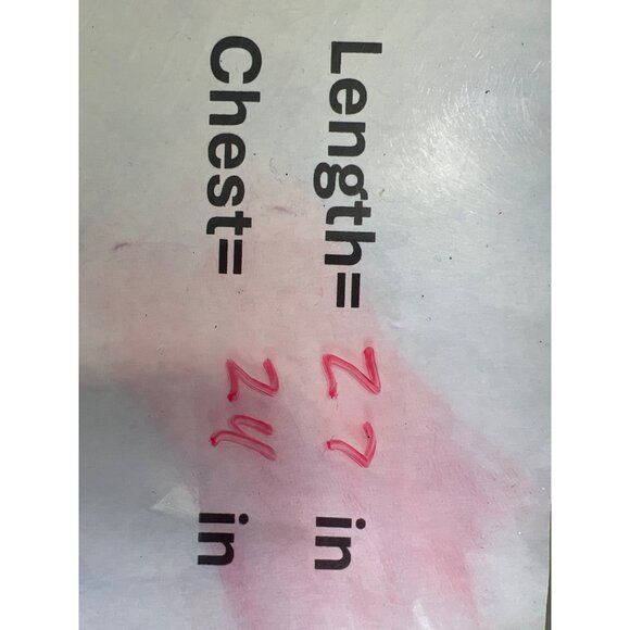 Loft Floral Blouse Size Large Petite Ruffle Shoulder Tie Back Prairie Boho Dark - Picture 6 of 7